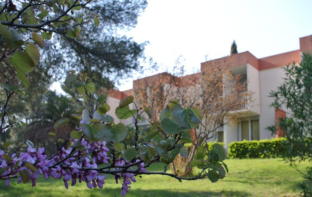 Le Domaine Des Oliviers Apartment Saint-Cyr-sur-Mer Bagian luar foto