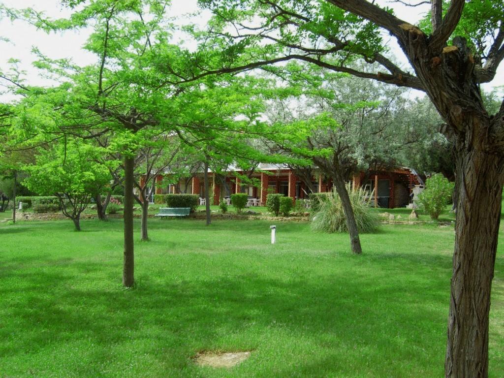 Le Domaine Des Oliviers Apartment Saint-Cyr-sur-Mer Bagian luar foto